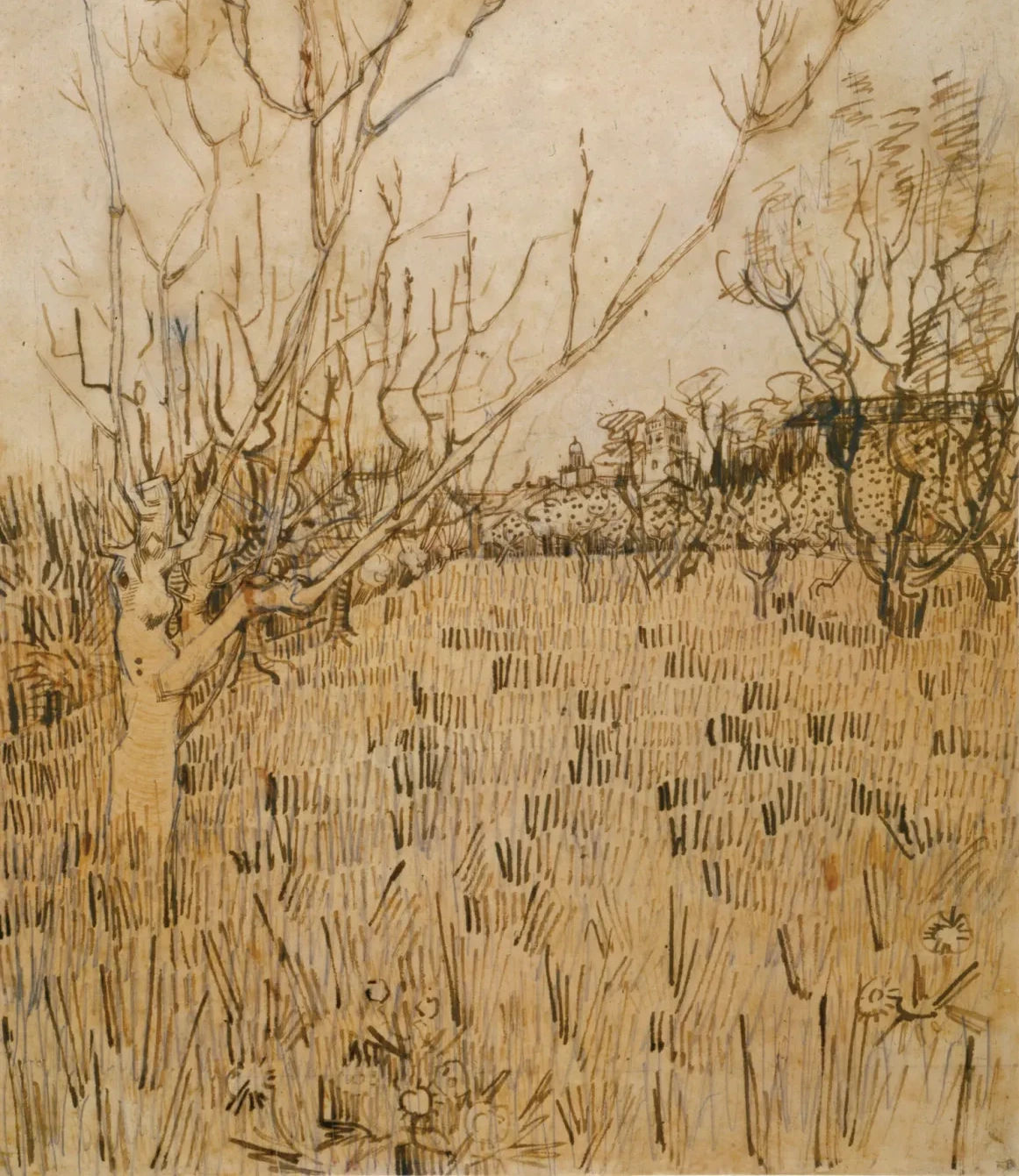 Orchard with Arles in the Background, Vincent van Gogh
