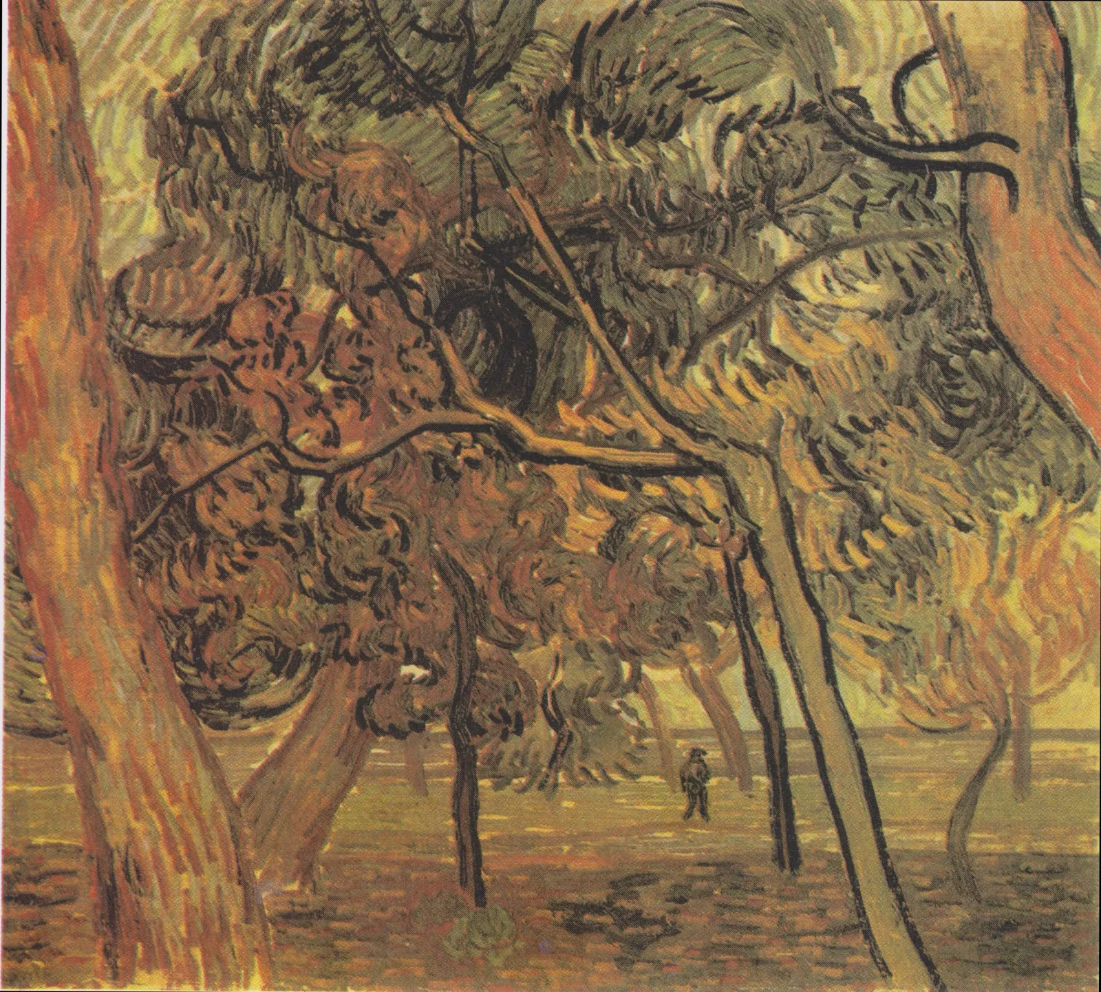 Pins dans le jardin de l'asile, Vincent van Gogh