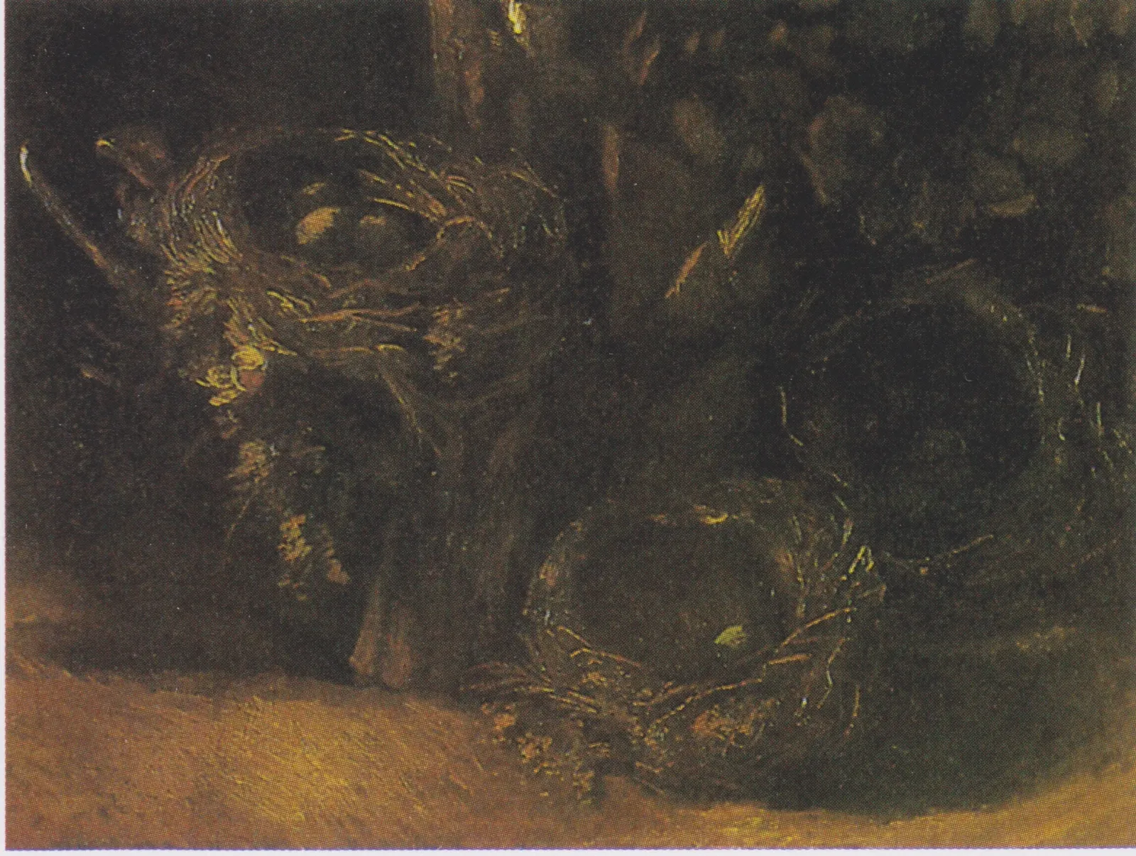 Still Life with Three Birds' Nests, Vincent van Gogh