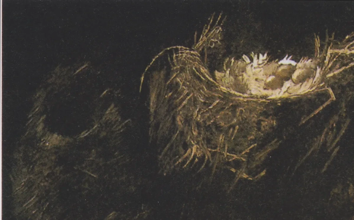 Still Life with Three Birds' Nests, Vincent van Gogh