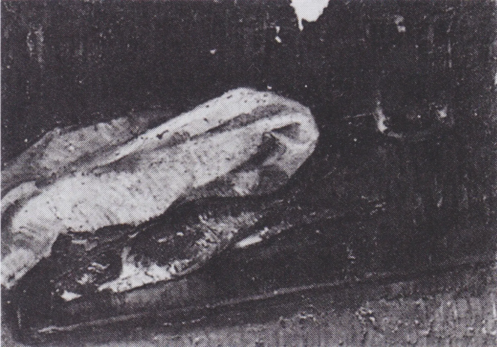 Still Life with Two Herrings, a Cloth and a Glass, Vincent van Gogh