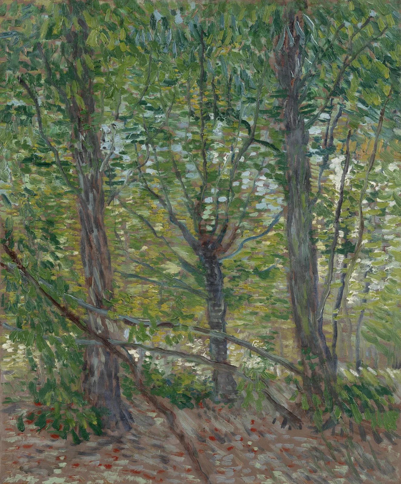 Trees, Vincent van Gogh