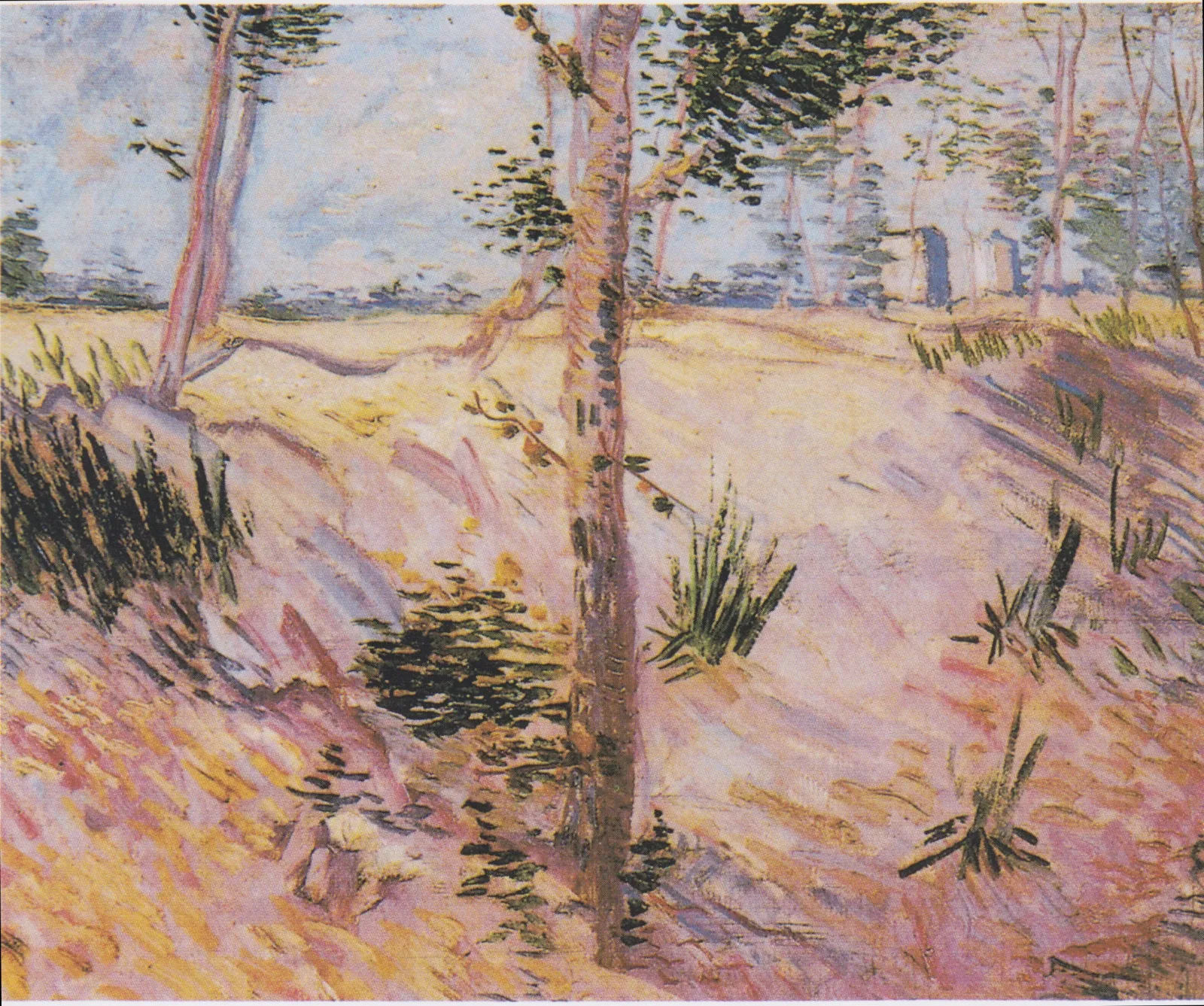 Trees on a slope, Vincent van Gogh