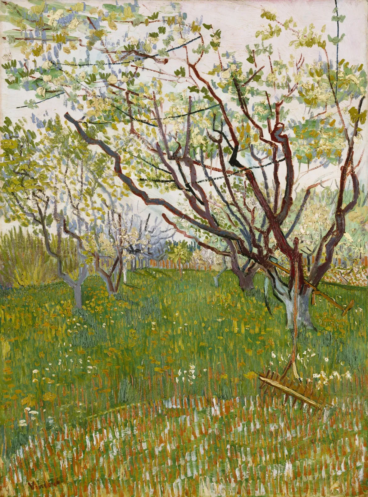 Verger en fleur, Vincent van Gogh