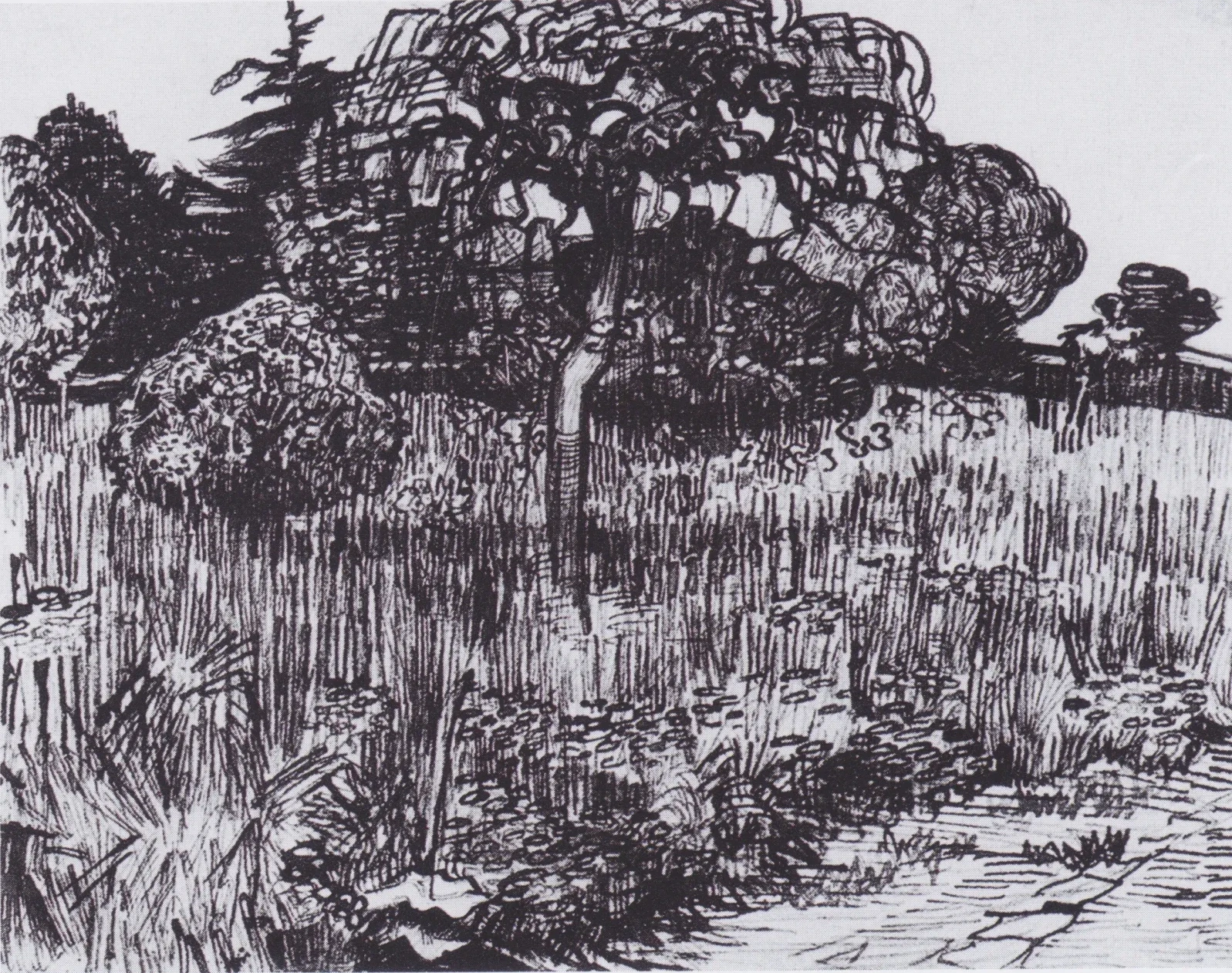 View of the park from Arles, Vincent van Gogh