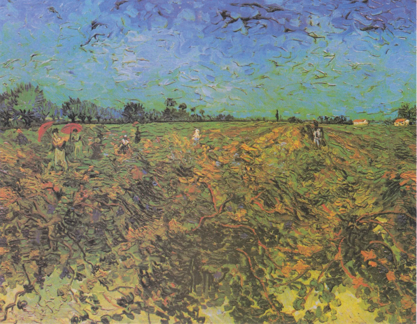 Vigne verte, Vincent van Gogh