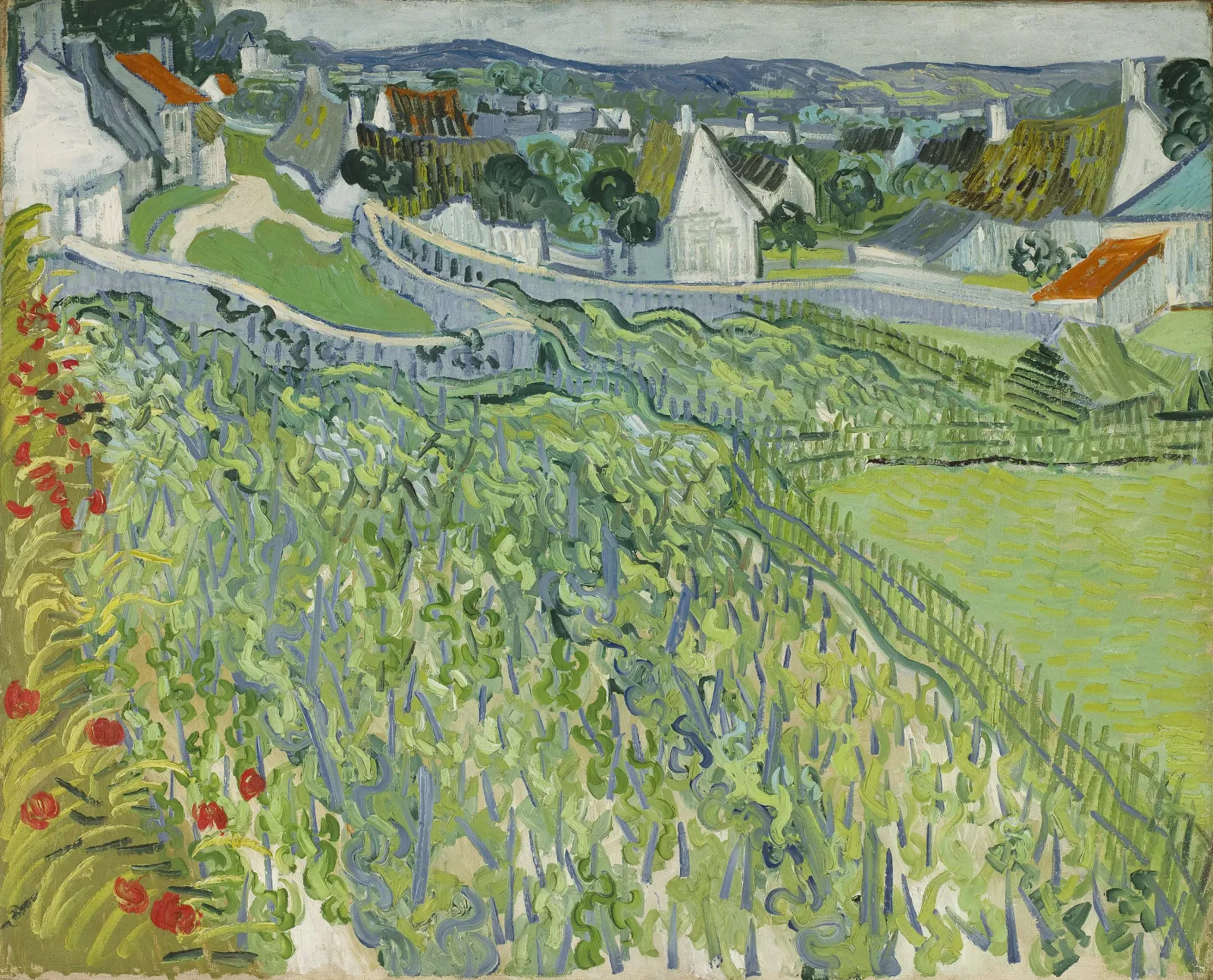 Vineyards at Auvers, Vincent van Gogh