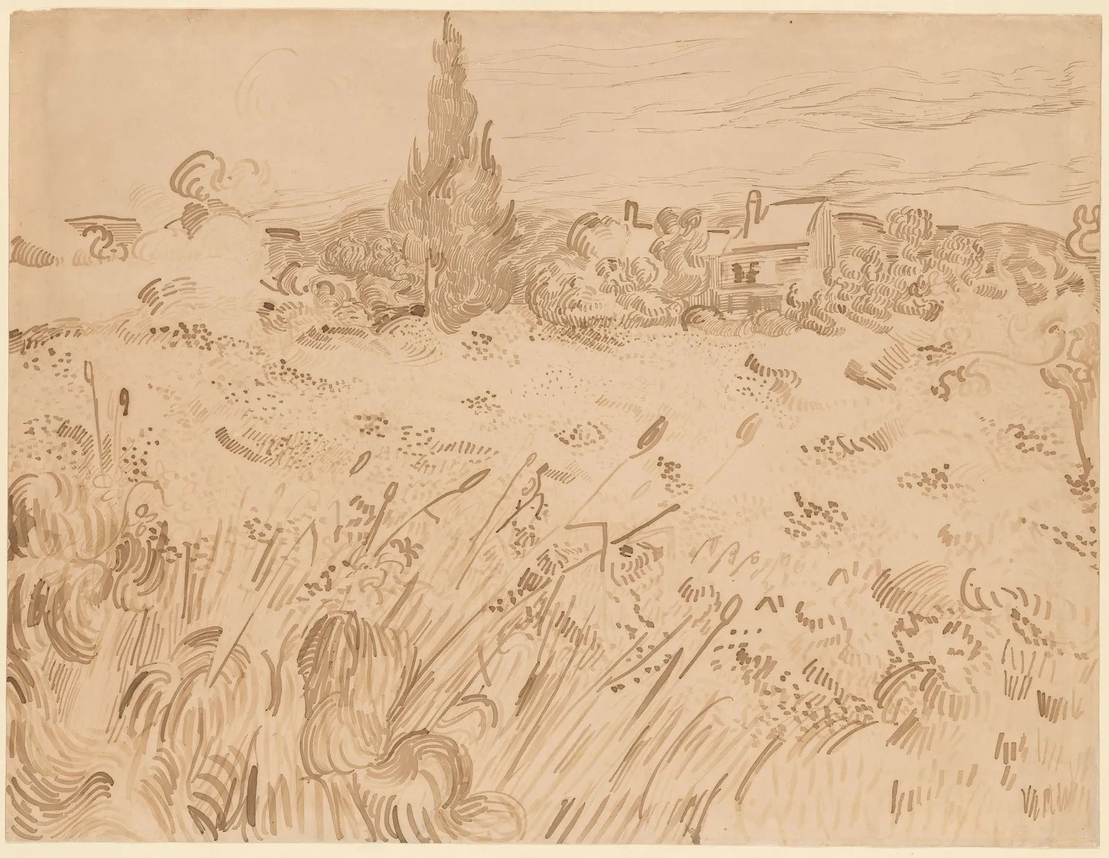 Wheatfield, Saint-Rémy de Provence, Vincent van Gogh