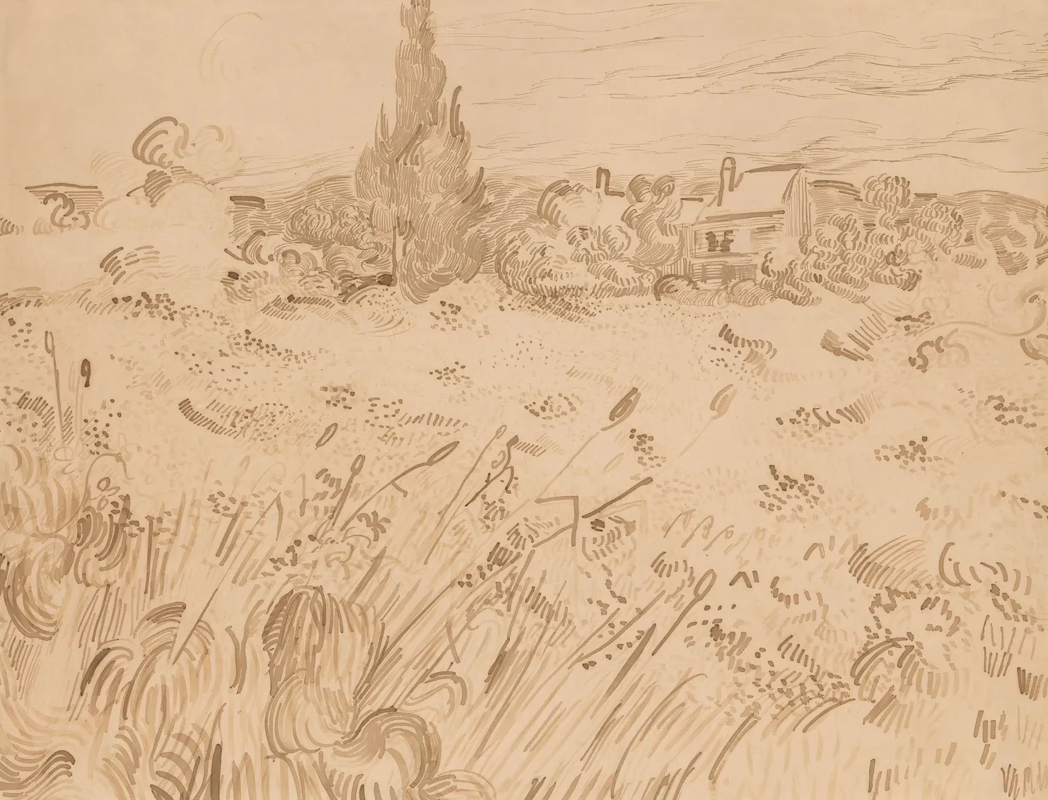 Wheatfield, Saint-Rémy de Provence, Vincent van Gogh