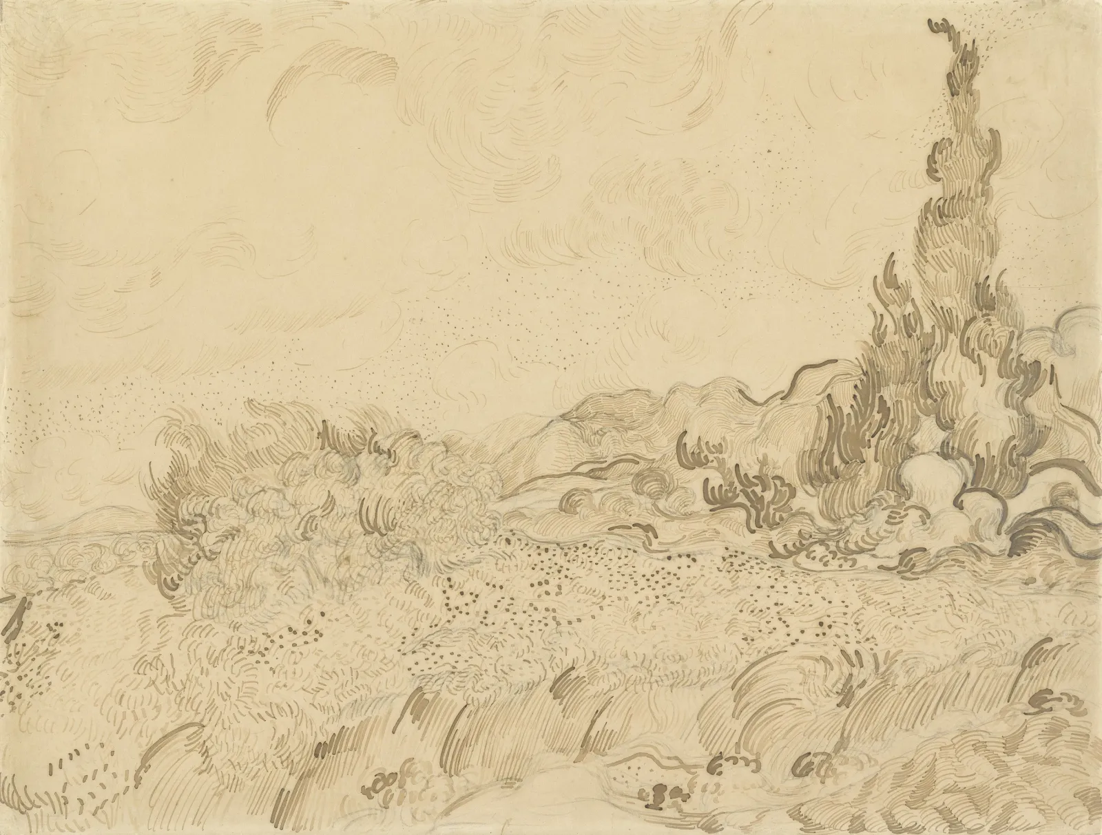 Wheatfield with Cypresses, Vincent van Gogh