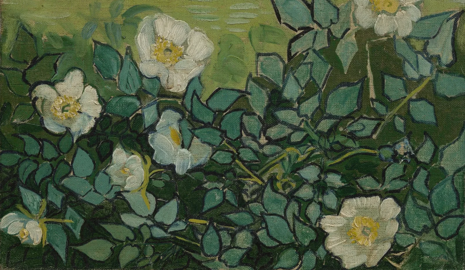 Wild Roses, Vincent van Gogh