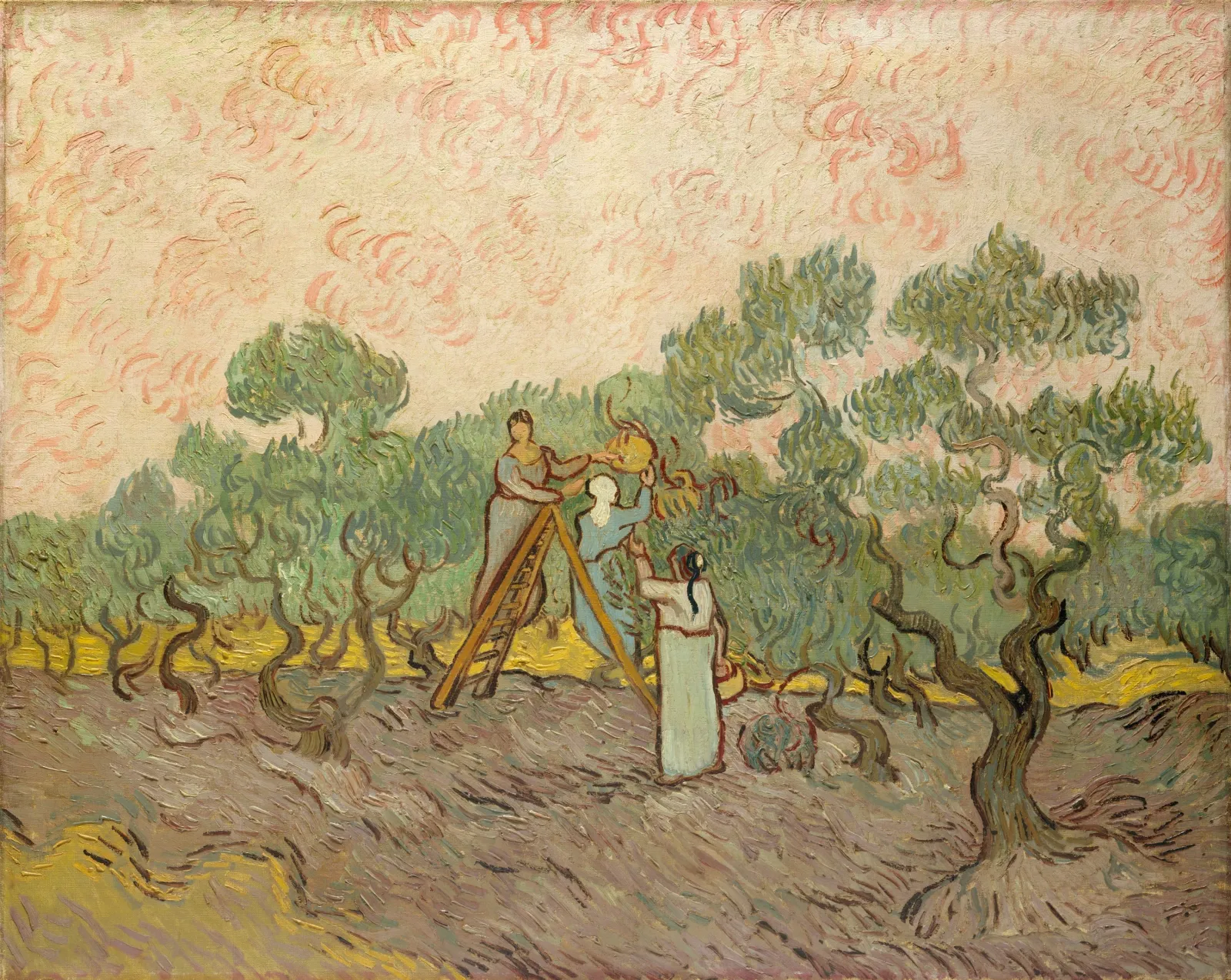 Women Picking Olives, Vincent van Gogh