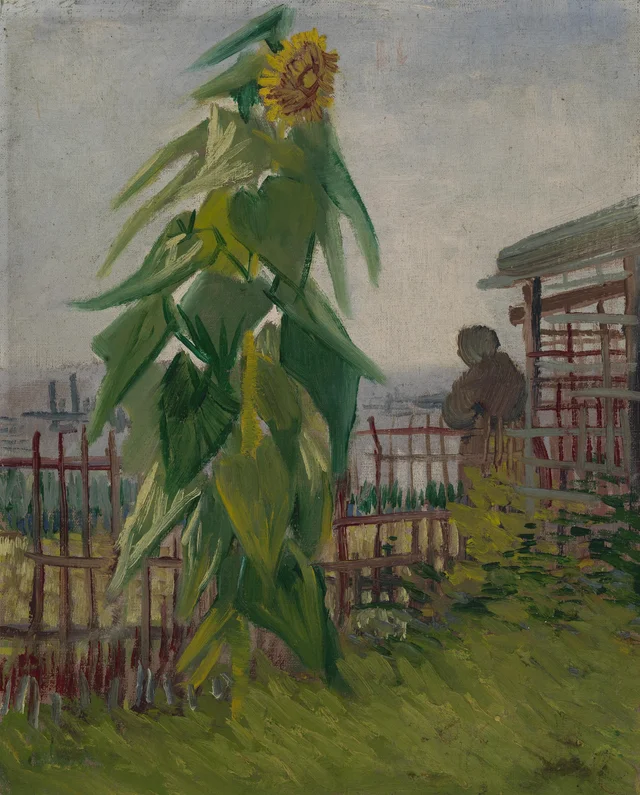 Huerto con girasol