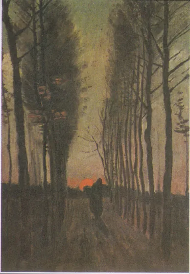 Avenue des peupliers au coucher du soleil