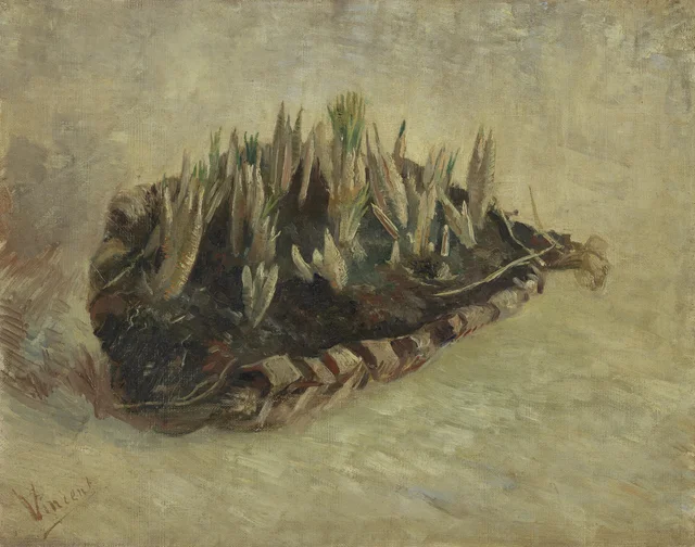Cesta de bulbos de crocus