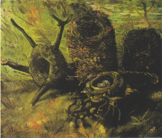 Birds' Nests