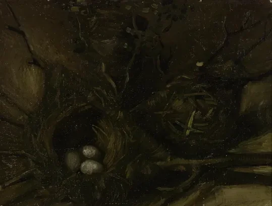 Birds' Nests