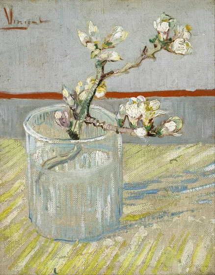 Branche d'amandier en fleur dans un verre