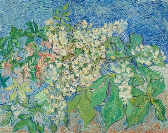 Branches de marronnier en fleur
