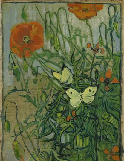 Butterflies and Poppies
