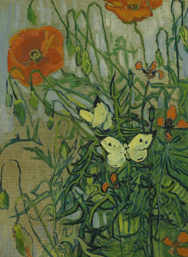 Mariposas y amapolas