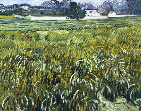 Champ de blé à Auvers avec maison