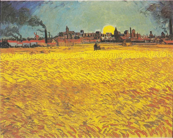 Champ de blé au soleil couchant