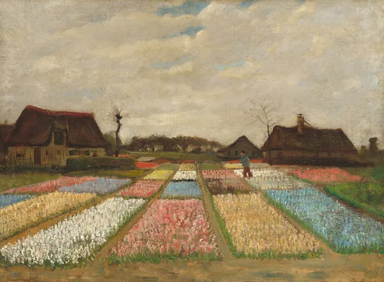 Champs de fleurs en Hollande