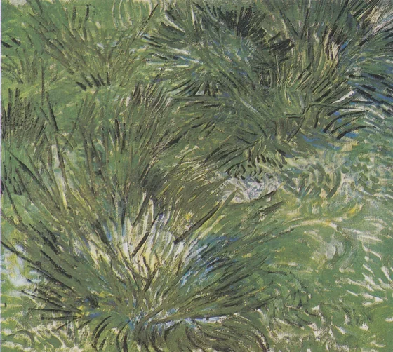 Clumps of Grass