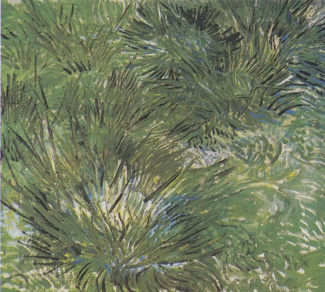 草の茂み