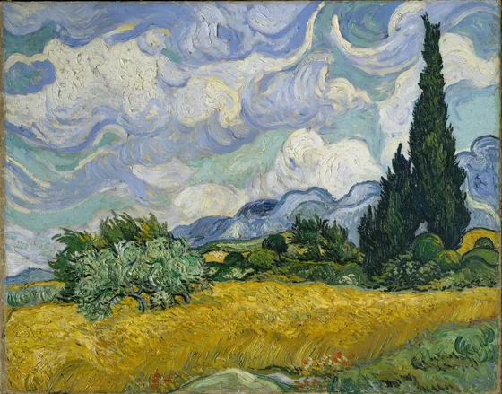 Cyprès aux blés d'or
