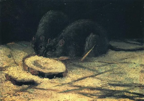 Deux rats