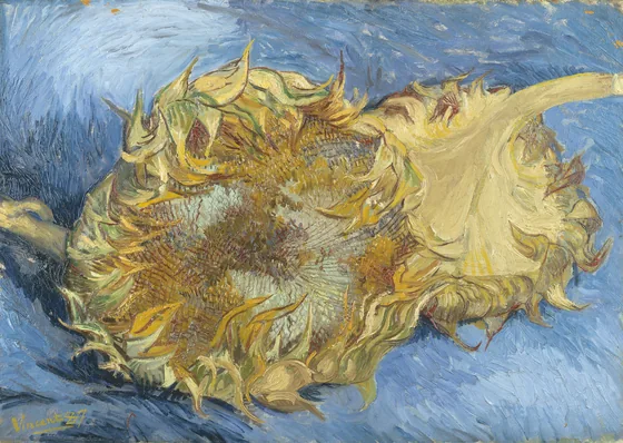 Deux Tournesols