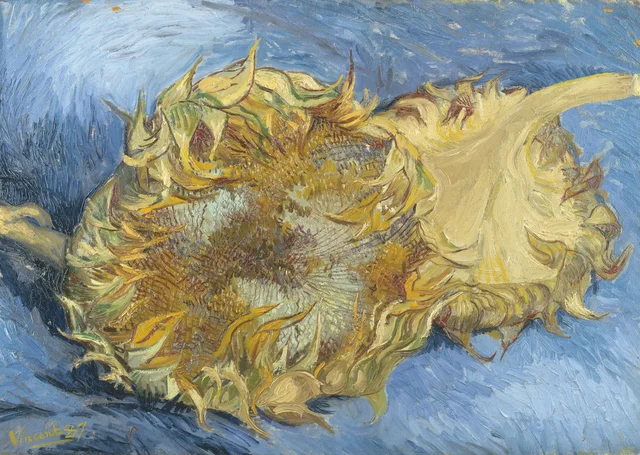 Dos girasoles