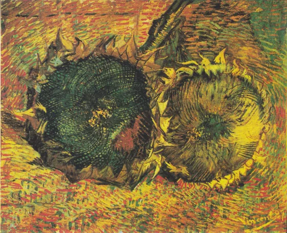 Deux Tournesols coupés