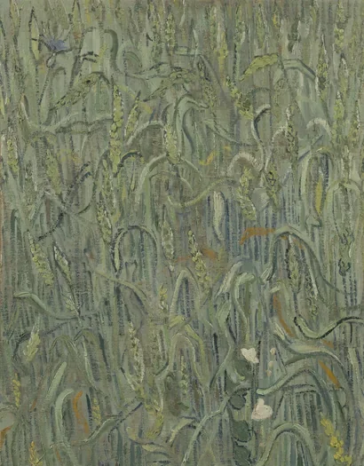 Ears of Wheat