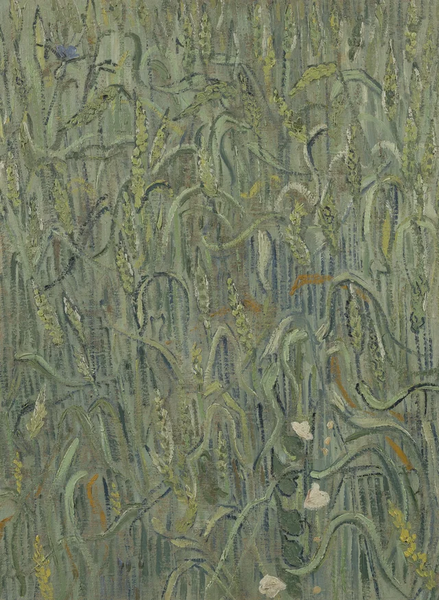 Espigas de trigo, Vincent van Gogh