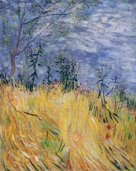 Edge of a wheat field with poppies