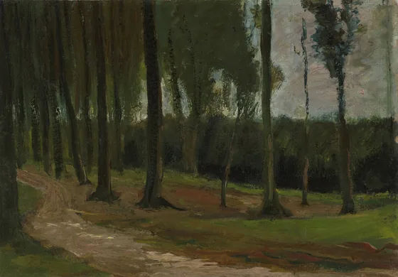 Edge of a Wood