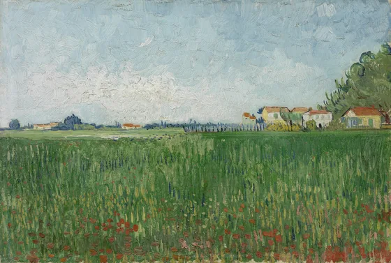 Field with Poppies