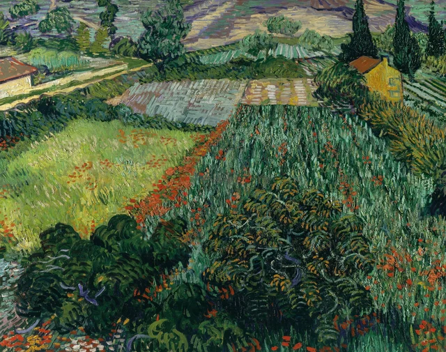Champ de coquelicots, Vincent van Gogh