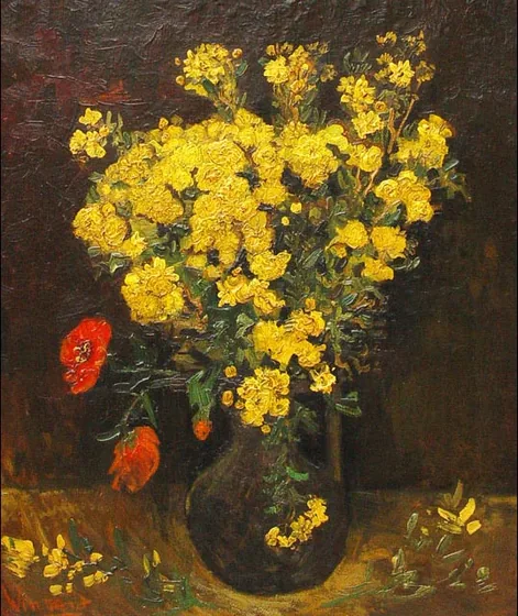 Fleurs de pavot