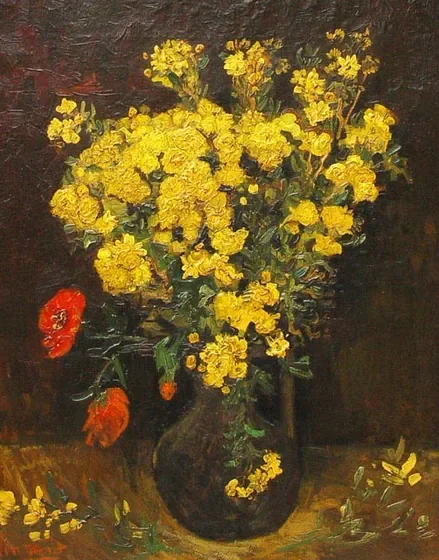 Fleurs de pavot