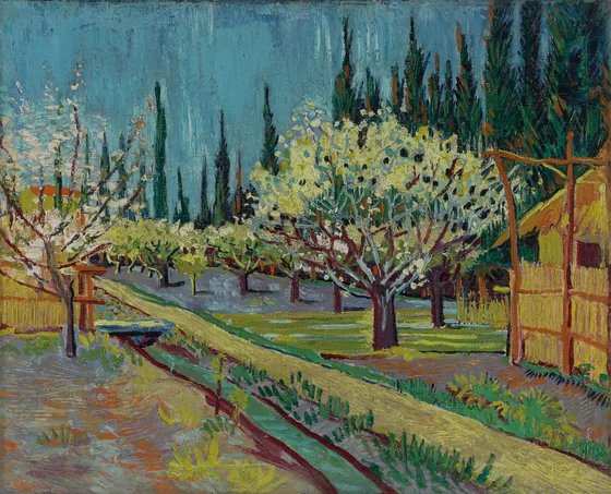 Flowering orchard, surrounded by cypress
