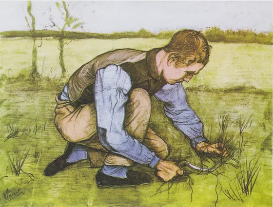 Garçon coupant l'herbe avec une faucille