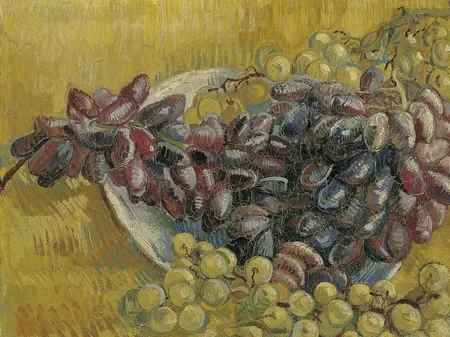 Grapes