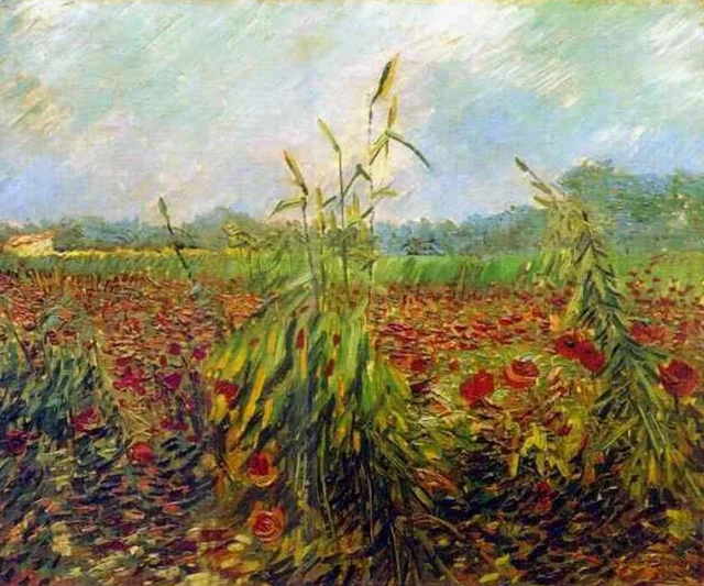 Espigas de trigo verdes, Vincent van Gogh