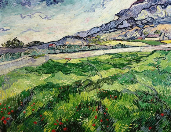 Green Wheat Field