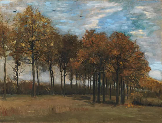 L'Allée en Automne