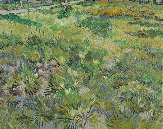 L'Herbage aux papillons
